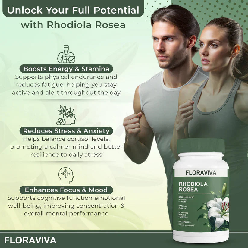 Rhodiola Rosea Capsules - Floravida for Energy, Focus, Mood - 60 Capsules.