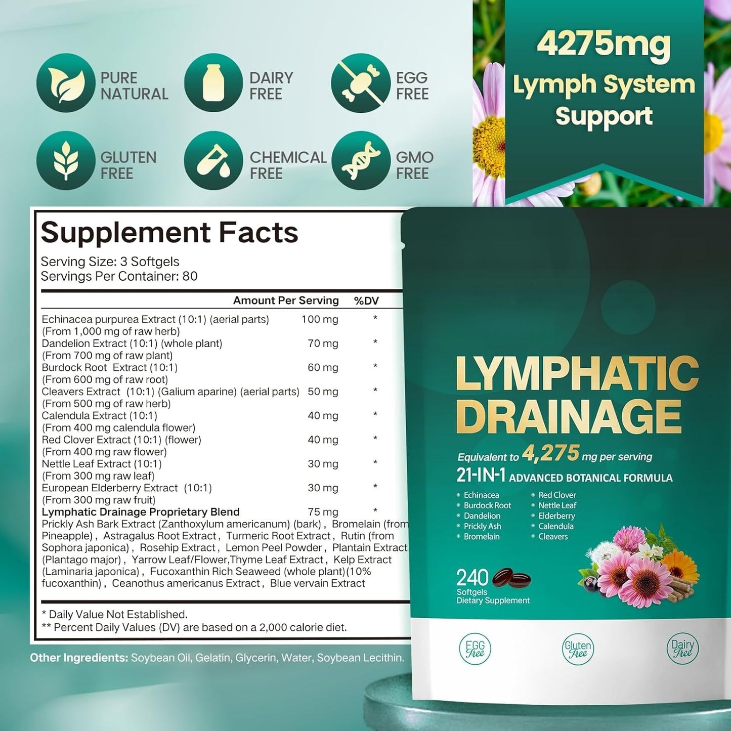 Lymphatic Drainage Support – 21-in-1 Advanced Botanical Formula | 240 Softgels