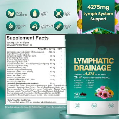 Lymphatic Drainage Support – 21-in-1 Advanced Botanical Formula | 240 Softgels