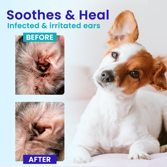 PureSource™ Pet EarPro Drops FM+ (𝟟𝟘% 𝕆𝔽𝔽 𝗘𝗡𝗗𝗦 𝗜𝗡 𝟭𝟬 𝗠𝗜𝗡𝗨𝗧𝗘𝗦)