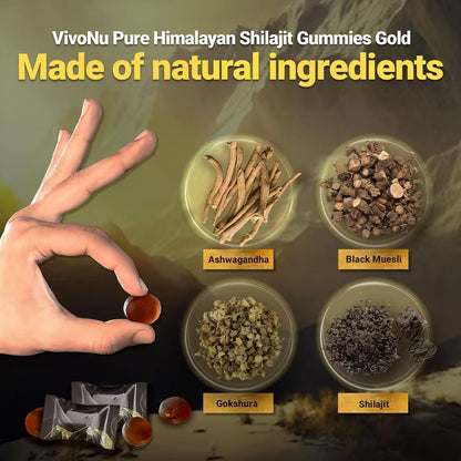Himalayan Shilajit Gummies | With Ashwagandha, Gokshura & other herbs | No addedsugar，60 Gummies
