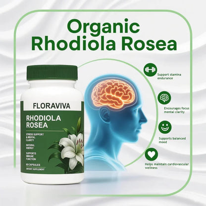 Rhodiola Rosea Capsules - Floravida for Energy, Focus, Mood - 60 Capsules.