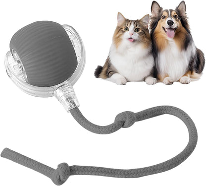 Interactive Dogs & Cats Ball - Smart Interactive Toys for Pets🐶🐱🐾