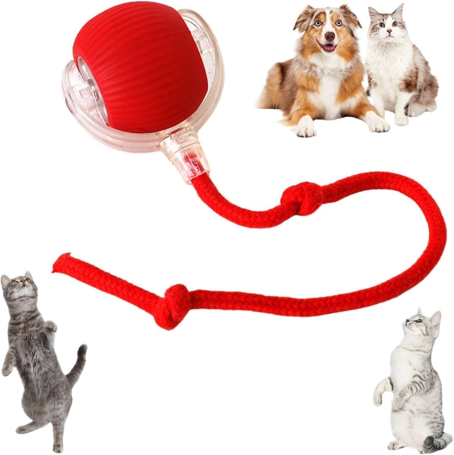 Interactive Dogs & Cats Ball - Smart Interactive Toys for Pets🐶🐱🐾