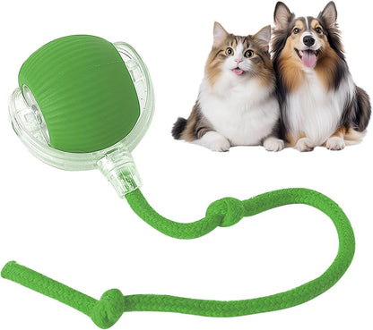 Interactive Dogs & Cats Ball - Smart Interactive Toys for Pets🐶🐱🐾