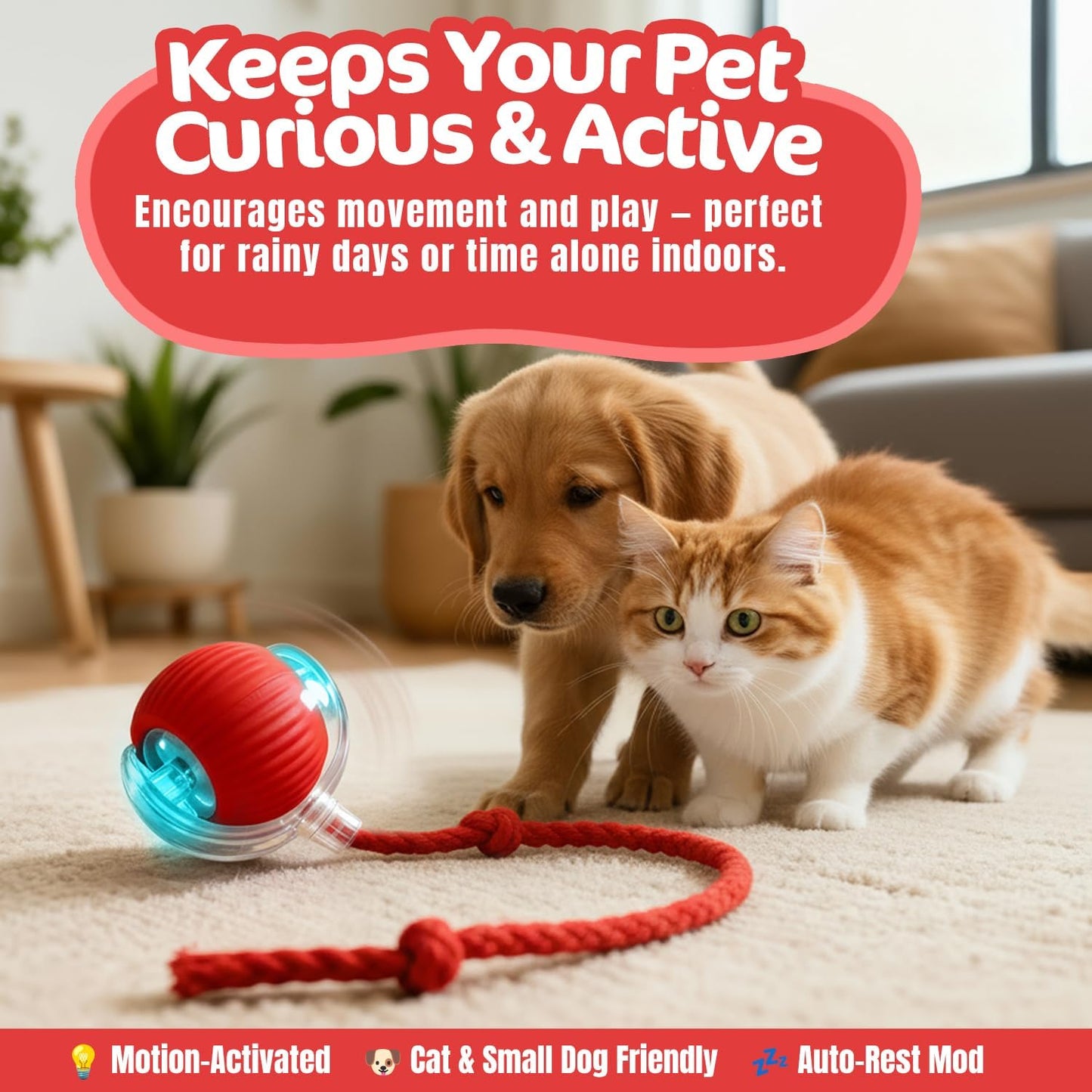 Interactive Dogs & Cats Ball - Smart Interactive Toys for Pets🐶🐱🐾
