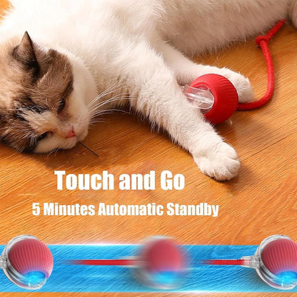 Interactive Dogs & Cats Ball - Smart Interactive Toys for Pets🐶🐱🐾