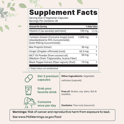 High-Absorption Turmeric Curcumin 1000mg | 95% Curcuminoids with  Black Pepper | Absorption Boosting Blend with Propolis, Ginger, MCT & Vitamin C | 120 Plant-Based Capsules