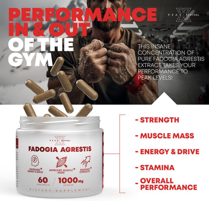 1000mg Per Serving Supplement - Potent Extract to Increase Energy, Athletic Performance & Muscle Mass - Supplements, Made in The USA (60 Capsules)
