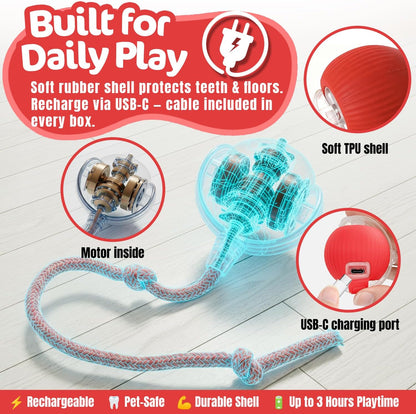 Interactive Dogs & Cats Ball - Smart Interactive Toys for Pets🐶🐱🐾