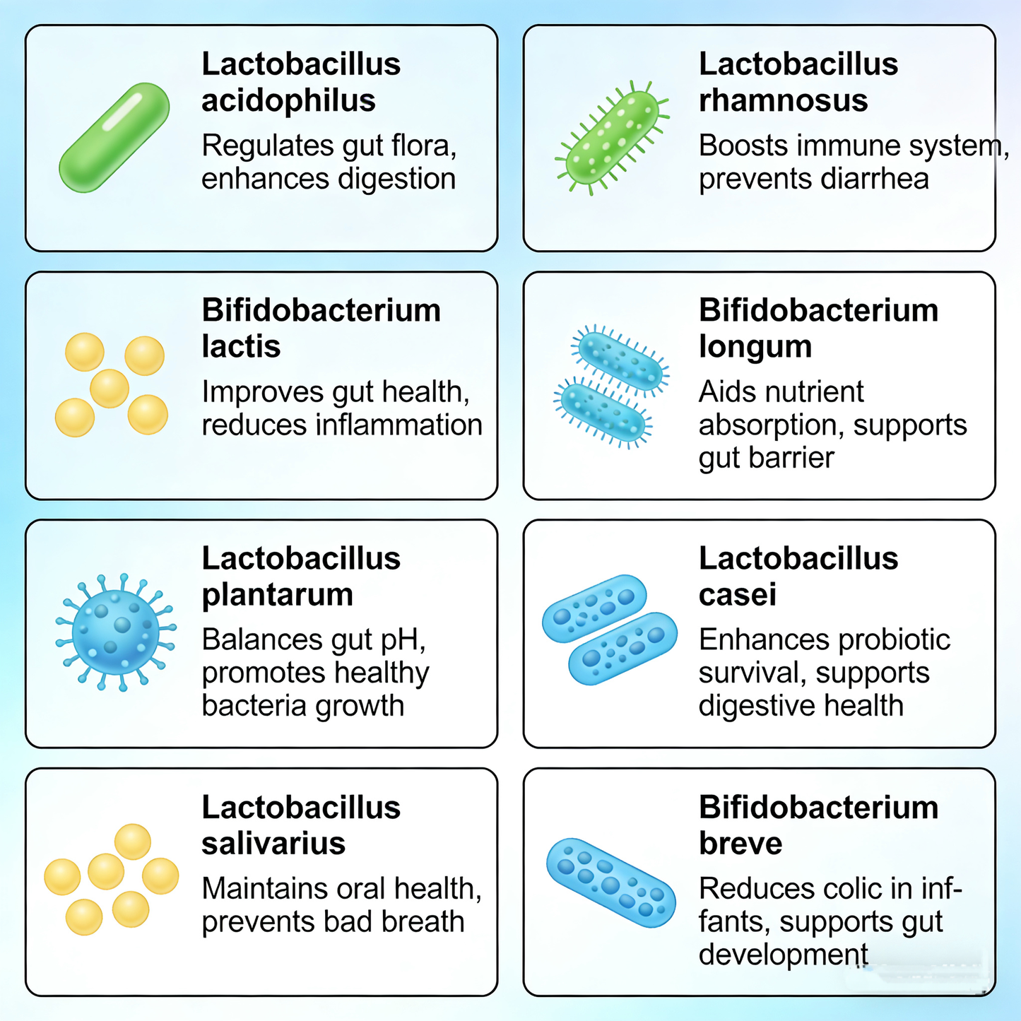 Highly Active Probiotic Blend Supports Gut Health, Aids Digestion, and Protects the Stomach and Intestines Dietary Supplement